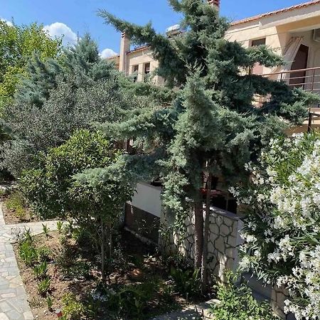 Papadopoulos Houses Nikiti  Dış mekan fotoğraf