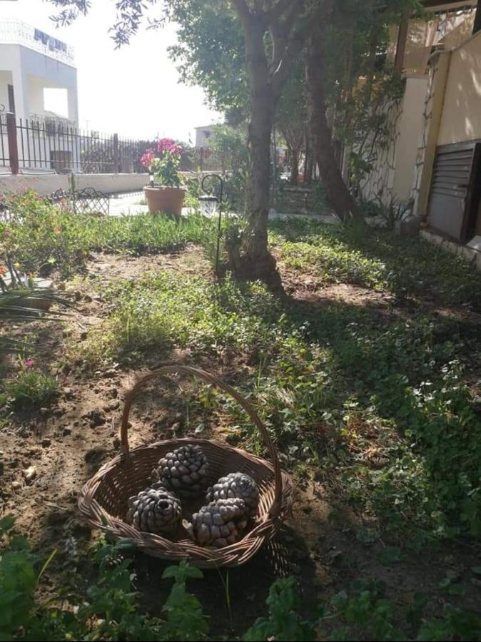 Papadopoulos Houses Nikiti  Dış mekan fotoğraf
