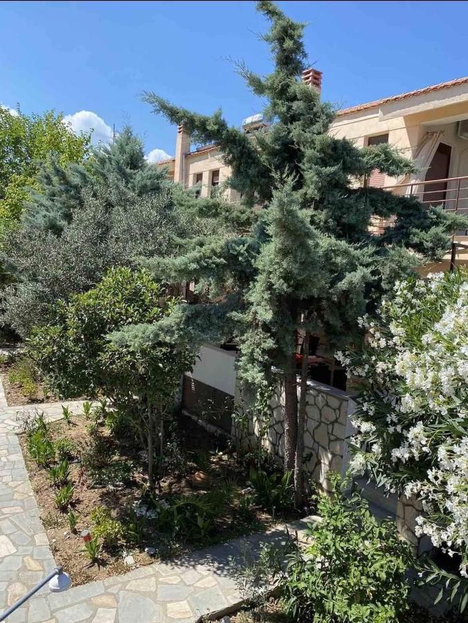 Papadopoulos Houses Nikiti  Dış mekan fotoğraf